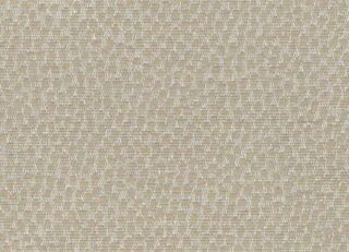 Фото - Обои Arlin Ambrosia - 627923>