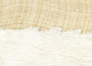 Фото - Обои Elitis Oceania - 557041>