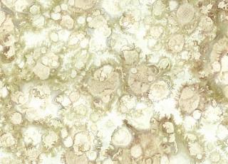 Фото - Обои Arlin Sweet Stones - 342011>