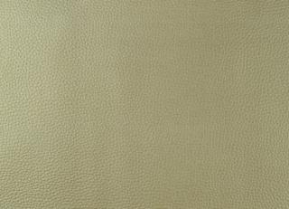 Фото - Ткани Designers Guild Santiago - 285973>