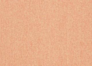 Фото - Персиковые натуральные обои на стену - 228217>
