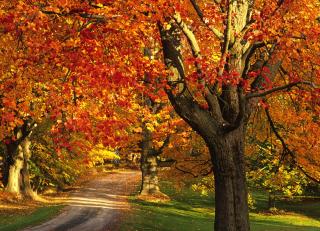 Фото - Обои Photowall Пейзажи - 298741>