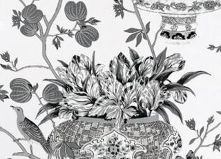 Фото - Обои Equipo DRT - 559331>