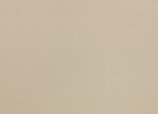 Фото - Ткани Zinc Leather Volume I - 565550>