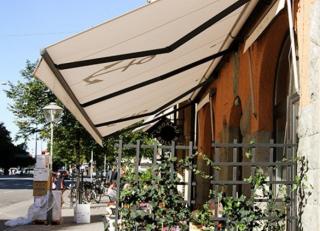 Фото - Маркизы - 587764>