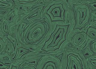 Фото - Обои Cole & Son Fornasetti Senza Tempo - 423521>