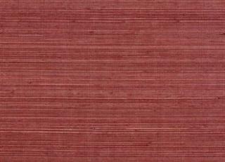 Фото - Обои Elitis Coiba - 398438>