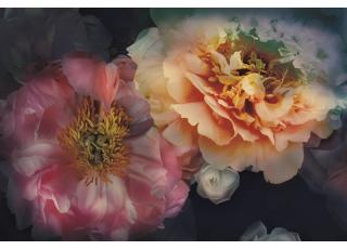 Фото - Обои Ortograf Flower dreams - 476739>