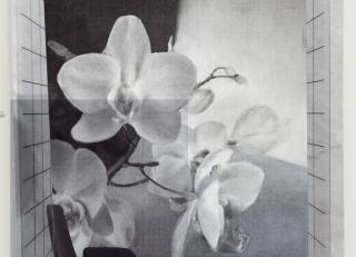 Фото - Обои Wall&Deco 2020 Contemporary Wallpaper - 495150>