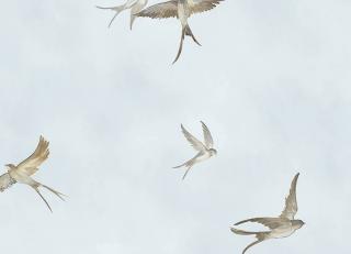 Фото - Обои Marburg Essentiell - 580188>