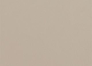 Фото - Ткани Zoffany Zephyr Plains - 483361>