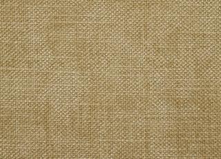 Фото - Ткани Sanderson Vibeke - 451989>