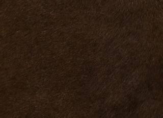 Фото - Аксессуары Pavoni Кожа Vitellina Pelo - 589047>