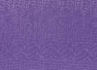 Фото - Ткани Designers Guild Kalahari - 261357>