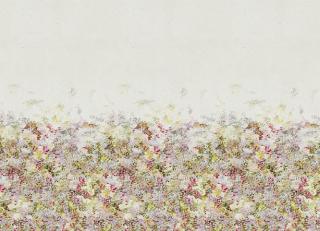 Фото - Ткани Black Edition - 456038>