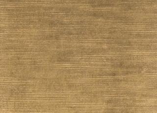Фото - Ткани Clarke&Clarke Majestic Velvet - 296296>