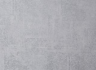 Фото - Обои Caselio Curiosity - 223601>