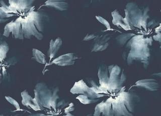 Фото - Обои Candice Olson Tranquil - 443471>