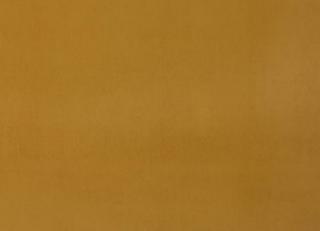 Фото - Ткани Дом CARO Plushery - 533218>