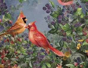 Фото - Обои Ortograf Paradise - 477285>