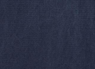 Фото - Ткани Antoine d'Albiousse Toile de Cocher - 480281>