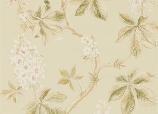 Фото - Обои Sanderson Woodland Walk - 247948>