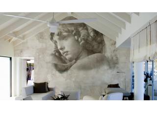 Фото - Обои Glamora Traces - 225129>