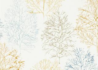 Фото - Обои Scion Zanzibar - 410355>