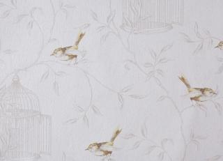 Фото - Обои Caselio Curiosity - 223603>