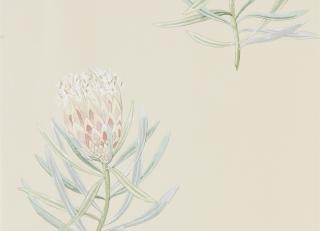 Фото - Обои Sanderson Art of the Garden - 324339>