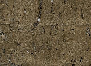 Фото - Обои Elitis Eclat - 258030>