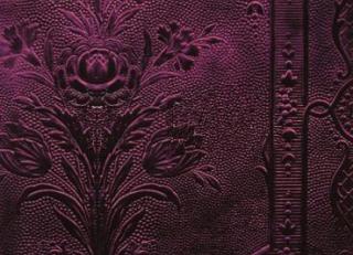 Фото - Обои Zuber - 243865>