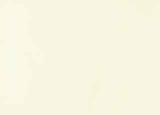 Фото - Обои Sandudd Moomin - 422265>