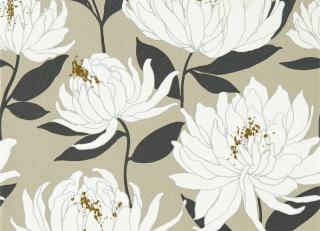 Фото - Обои Harlequin Salinas Wallpapers - 417759>