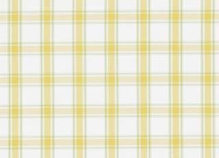 Фото - Ткани Sanderson Bramley Checks - 260470>