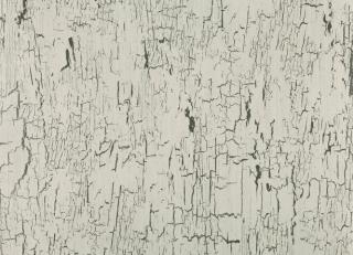 Фото - Обои Black Edition Kansai Wallcoverings - 321021>