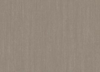 Фото - Обои Emil&Hugo Moana - 572980>