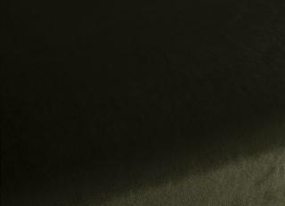 Фото - Ткани Carlucci Palazzo Velvet - 577730>