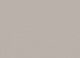 Фото - Ткани Creation Baumann Velos Noe - 632881>