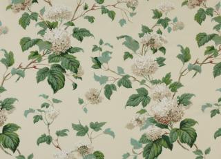 Фото - Ткани Colefax and Fowler Classic Prints II - 258409>