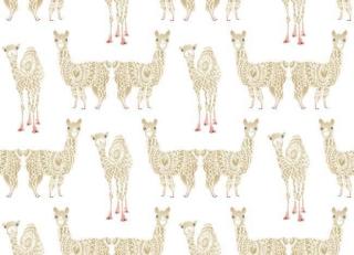 Фото - Обои York Wallcoverings A Perfect World - 443144>