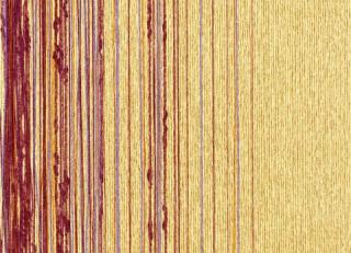 Фото - Обои Zoffany Akita - 194845>