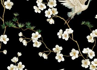 Фото - Обои Carl Robinson Edition 19 - 608308>