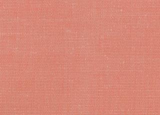 Фото - Ткани Rubelli Carlo - 488208>