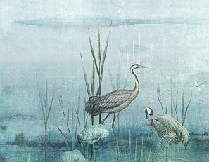 Фото - Обои Khroma Helium - 424546>