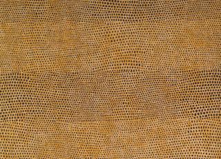 Фото - Обои Italreflexes - 237771>