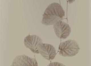 Фото - Обои Origin Park Avenue - 346249>