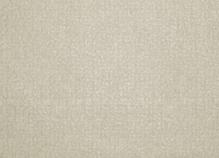 Фото - Обои Zimmer + Rohde Reflection - 350867>