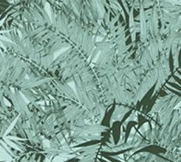 Фото - Обои Christian Lacroix Belles Rives - 200670>