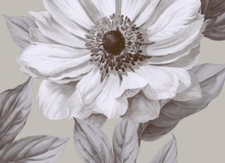 Фото - Обои Seabrook Lanai - 217670>